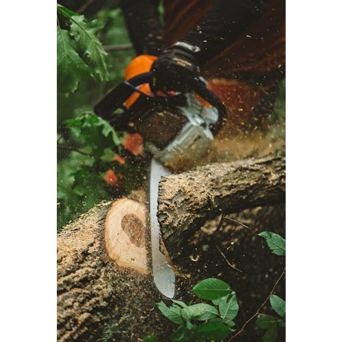 be6295ff-7b2b-4257-facc-08dcc5e644e3